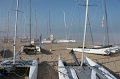 IMG_7219
