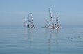 IMG_7530