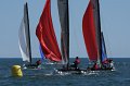 IMG_7442.CR2