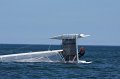 IMG_8811.CR2