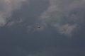 IMG_8197.CR2
