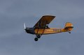 IMG_8210.CR2