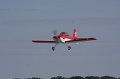 IMG_8117.CR2