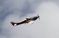 IMG_1416.CR2