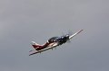 IMG_9591.CR2