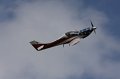 IMG_9594.CR2