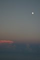 IMG_4880