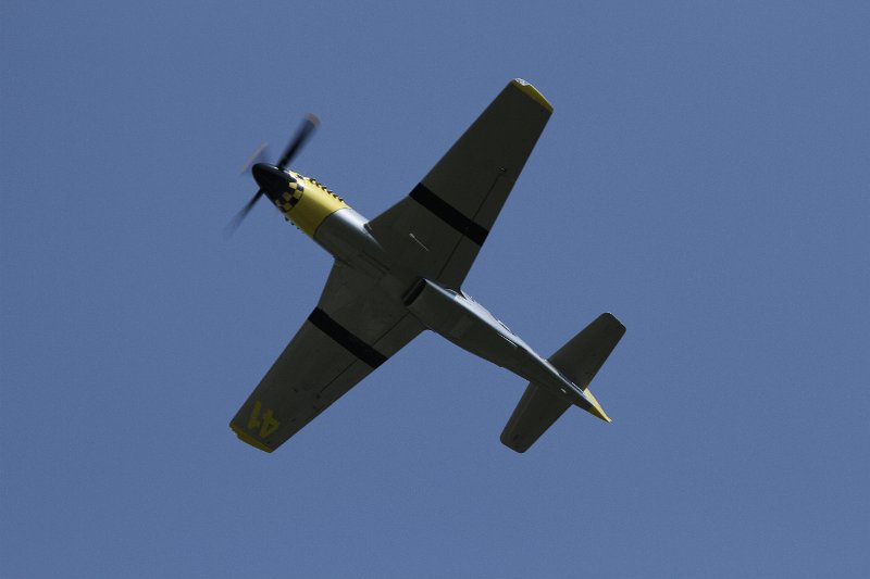 IMG_2207.CR2.jpg
