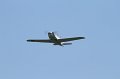 IMG_1503.CR2