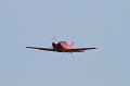 IMG_1569.CR2