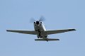 IMG_1591.CR2