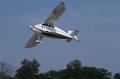 IMG_1989.CR2