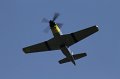 IMG_2205.CR2