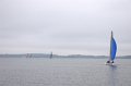 IMG_8409_20D