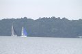 IMG_9584_7D