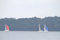 IMG_9586_7D