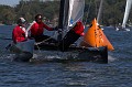 IMG_1414_7D