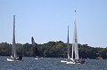 IMG_2098_7D