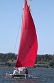 IMG_2310_7D