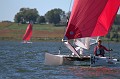 IMG_2311_7D