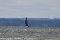 IMG_0317_proof