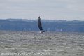 IMG_0323_proof