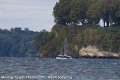 IMG_0445_proof
